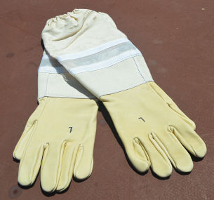 Gloves, Leather (Long)