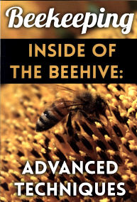 Beekeeping - Inside Of The Beehive: Advanced Techniques