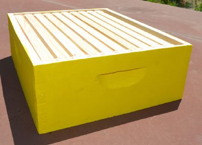 honey super (medium box), with frames