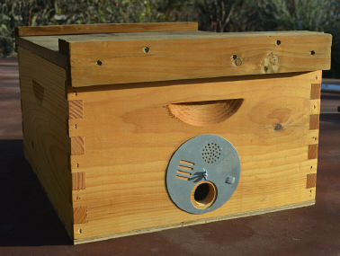 Swarm box, homemade (10-Frame)