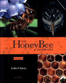 The Honey Bee Inside Out
