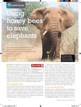 Using Honey Bees to Save Elephants