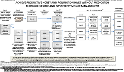 Achieve productive honey and pollination hives without medication through flexible and cost-effective nuc management