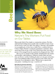 Why We Need Bees: Nature's Tiny Workers Put Food on Our Tables