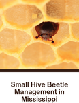 Small Hive Beetle Management in Mississippi