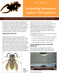 Protecting Honeybees Against Yellowjackets