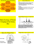Basic Ecology of Nectar Foraging in the Honey Bee