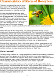 Characteristics of Races of Honeybees