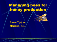 Managing bees for honey production