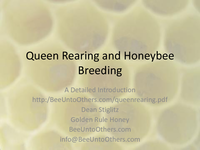 Queen Rearing and Honeybee Breeding