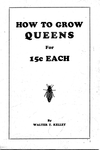 How to Grow Queens for 15 cents each
