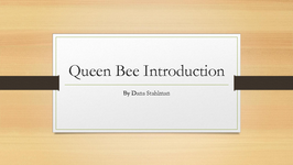 Queen Bee Introduction