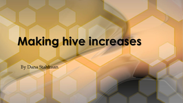 Making hive increases