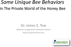 Some Unique Bee Behaviors In The Private World of the Honey Bee