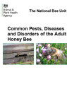 Common Pests, Diseases and Disorders of the Adult Honey Bee