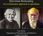 Darwinian Beekeeping - An evolutionary approach to apiculture