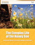 The Complex Life of the Honey Bee