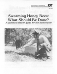 Swarming Honey Bees: What Should Be Done?