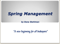 Spring Management - A new beginning for all beekeepers
