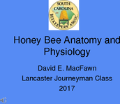Honey Bee Anatomy and Physiology