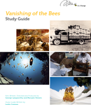 Vanishing of the Bees - Study Guide