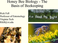 Honey Bee Biology - The Basis of Beekeeping