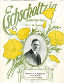 Eschscholtzia, Ernest W. Chamblin, 1913