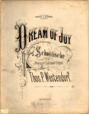 Dream Of Joy, Thomas P. Westendorf, 1880