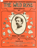 The Wild Rose, Enrico Gargiulo, 1907
