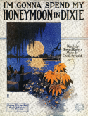 I'm Gonna Spend My Honeymoon In Dixie, Cecil Arnold, 1919