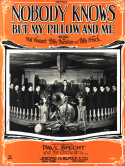 Nobody Knows But My Pillow And Me, Nat H. Vincent; Billy Hueston; Billy Frisch, 1923