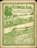 Wild Flower Rag, Clarence Williams, 1916