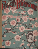 Peach Blossoms, Maude Gilmore, 1910