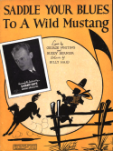 Saddle Your Blues To A Wild Mustang, Billy Haid, 1936