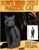 How's Your Little Maltese Cat, Lewis F. Muir; Les C. Copeland, 1913