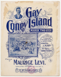 Gay Coney Island, Maurice Levi, 1896